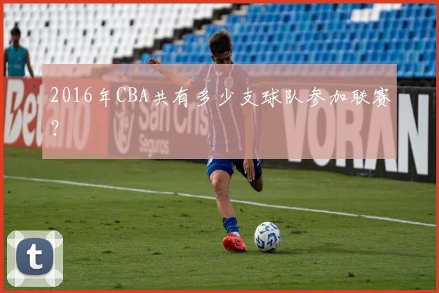 2016年CBA共有多少支球队参加联赛？