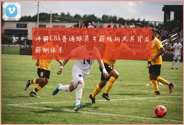 详解CBA普通球员年薪结构及其背后薪酬体系