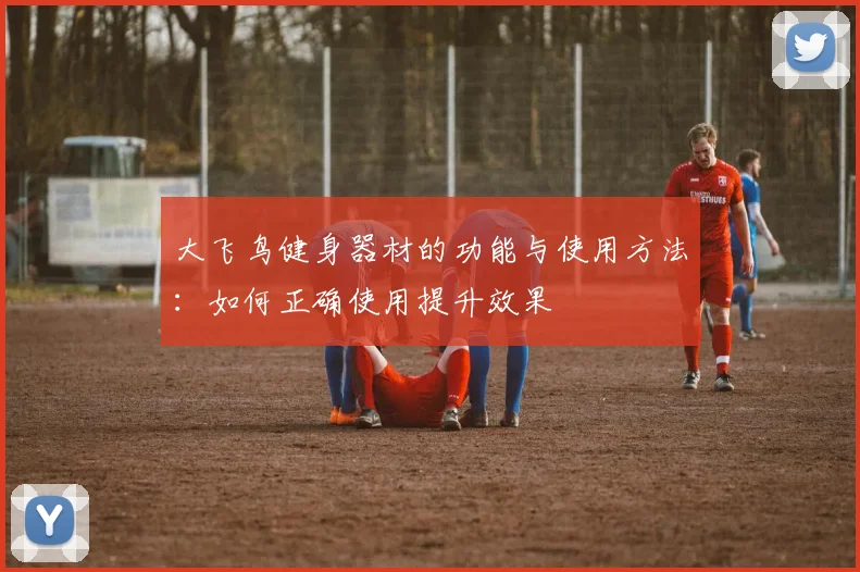 大飞鸟健身器材的功能与使用方法：如何正确使用提升效果